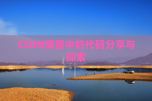 CSDN博客中的代码分享与探索